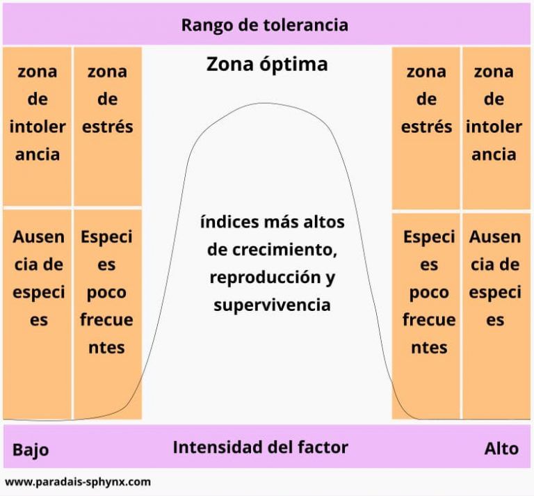 Ley De La Tolerancia De Shelford Qu Es Y Ejemplos Cuadro Resumen