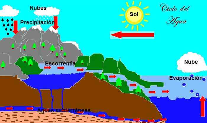 Ciclo del agua o ciclo hidrológico, fases de la hidrosfera
