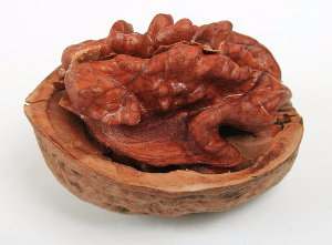 Nueces, fruto del nogal