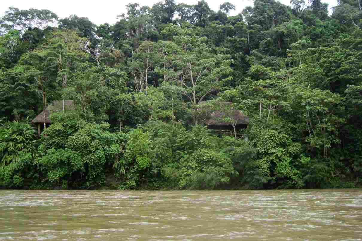 Qué es el Amazonas (Amazonia), dónde se encuentra y su importancia