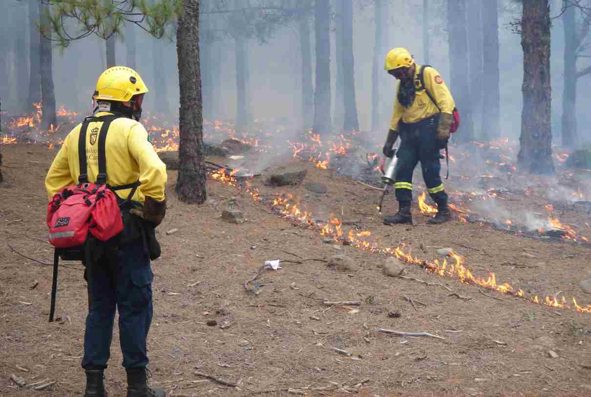 Quema prescrita, técnica para la prevención de incendios de vegetación