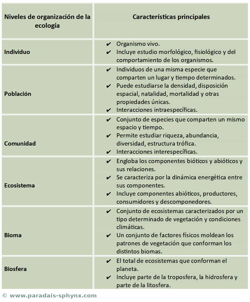 Niveles de organización de la ecología, características y ejemplos