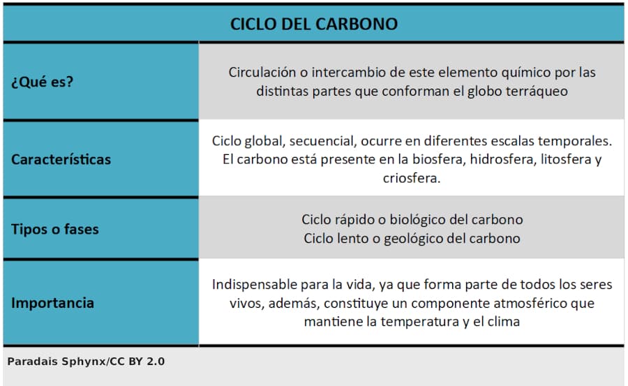 Ciclo del carbono, qué es, descripción, importancia, recorrido o fases
