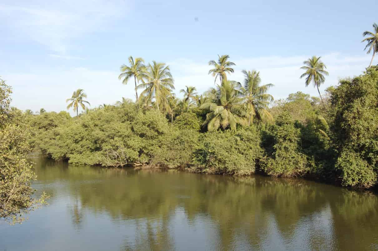 conservacion-de-la-biodiversidad