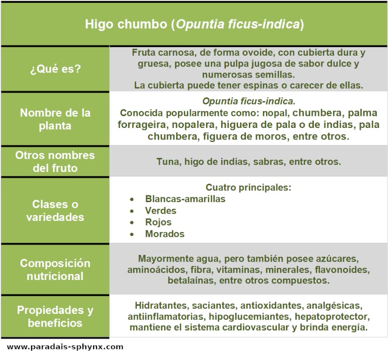 Cuadro resumen, esquema del higo chumbo, Opuntia ficus-indica