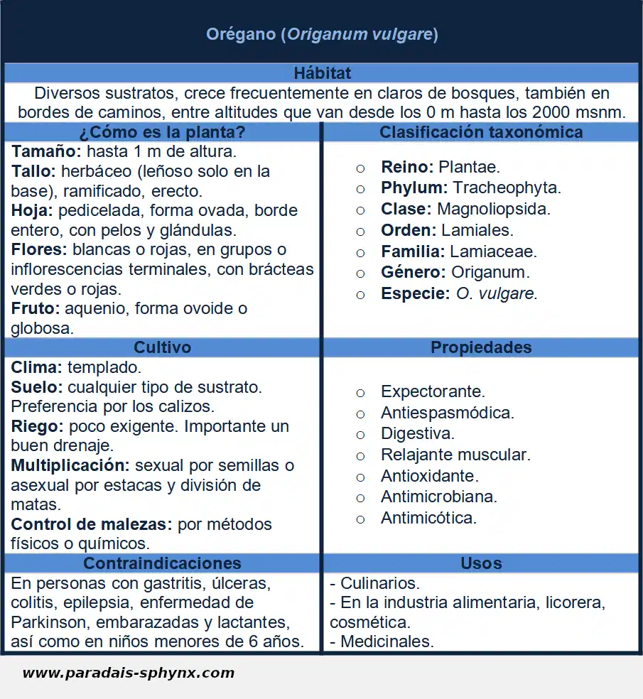 Ficha del orégano, Origanum vulgare