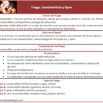 fuego-caracterisiticas-tipos