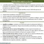 biodiversidad-vegetal-y-su-funcion