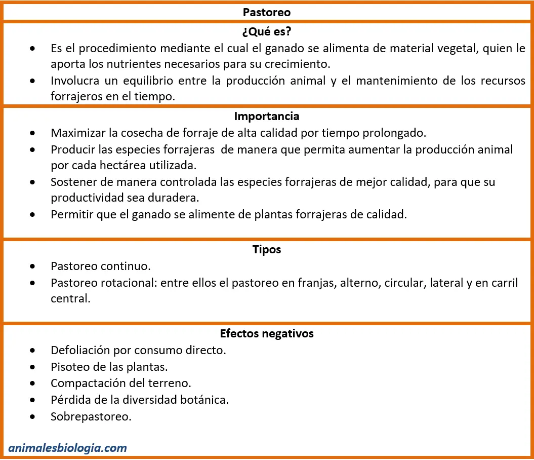 Resumen sobre el pastoreo