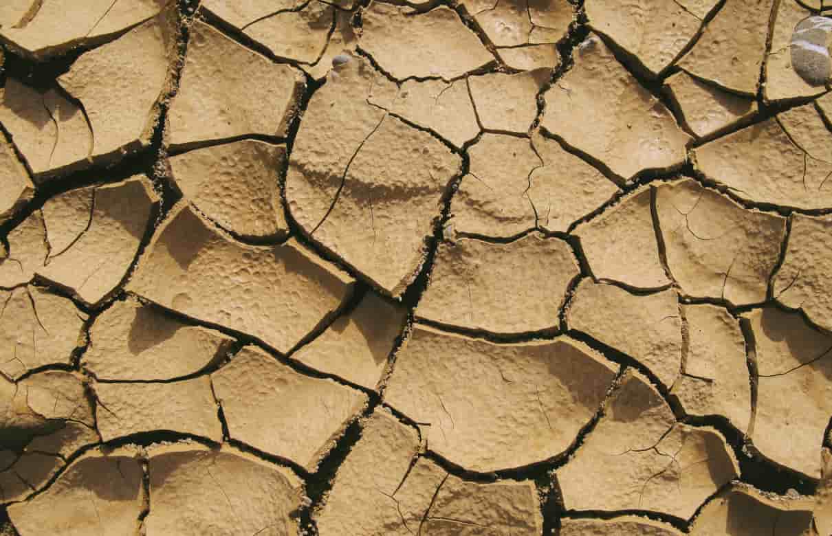 Sequía, causas y consecuencias